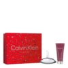 Calvin Klein Euphoria EDP for Women 2pc Gift Set ( 1.6oz EDP Spray + 3.3oz B/L )